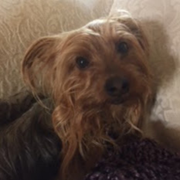 Meet your Posher, Philip - Picture 1 of 1